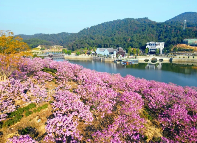 鴻業(yè)集團鴻園花海歡迎您！